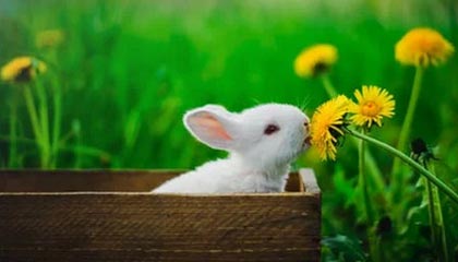 九游游戏中心-亚冠联赛 中国女足复仇 热血时刻令人动容，中国女足亚洲杯夺冠