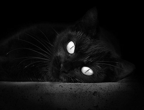 九游APP官网-瓦伦西亚找回状态，迎来久违胜利，瓦伦西亚视频