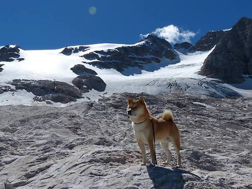 JiuyouAPP下载-知名车手的成长秘籍揭秘，车手团队