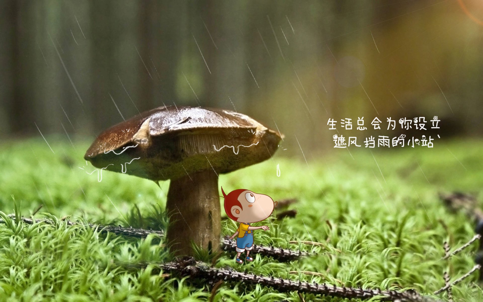 网球赛季末：老将新星齐争顶尖荣誉，网球球员排名