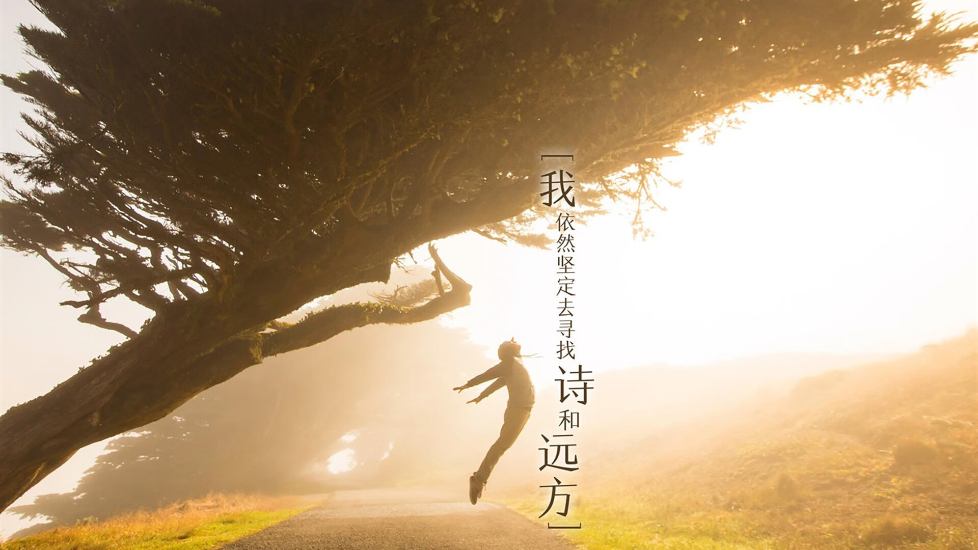 青年力量：青年球员带来的新风尚，何为青年力量