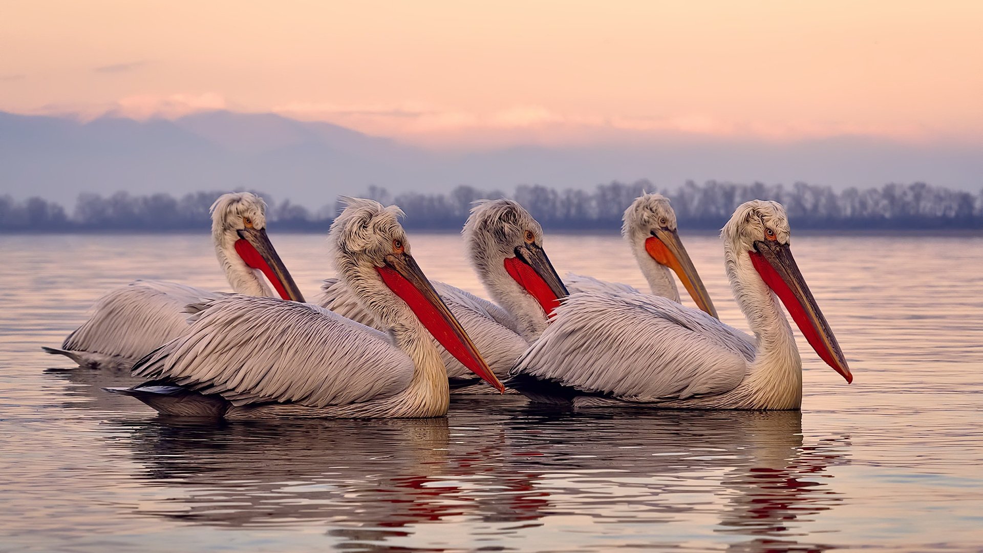 利物浦客场胜皇马,晋级欧冠半决赛!,利物浦vs皇马欧冠决赛集锦
