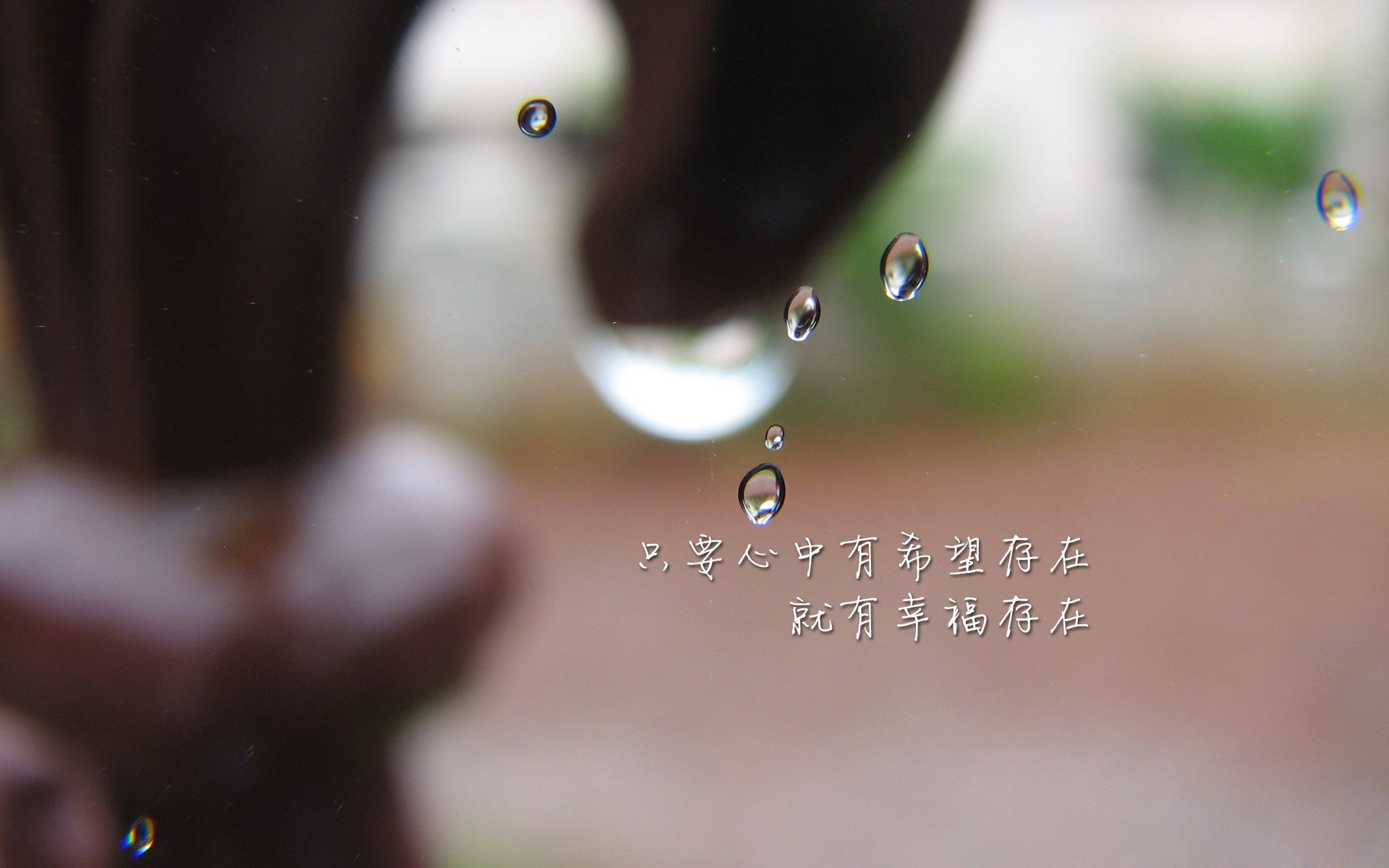 观众们期待在足球比赛中看到哪些精彩瞬间？，看足球赛观众们的神态