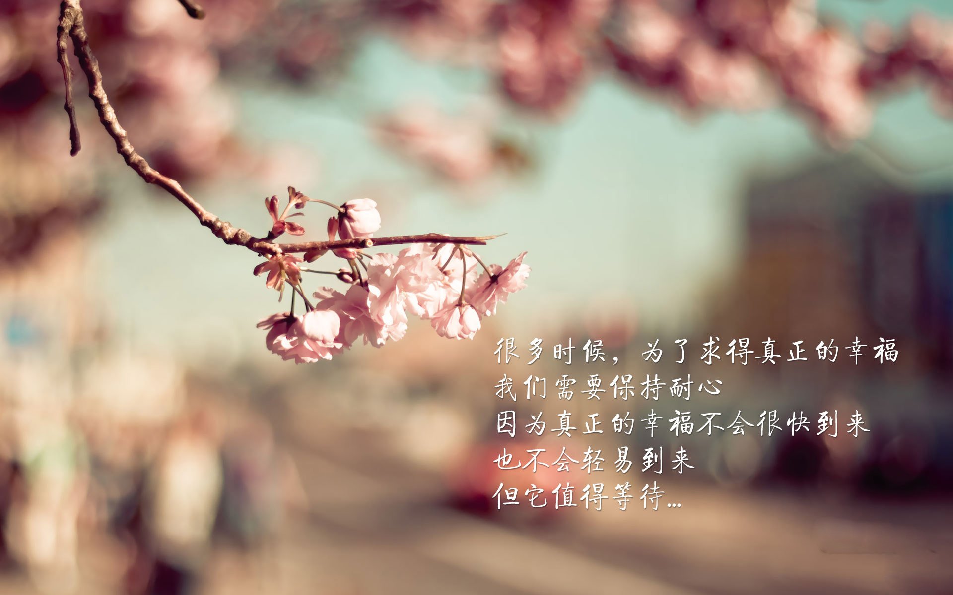 体育新闻中心深化体育短视频内容智能推荐算法，体育短视频的传播特点