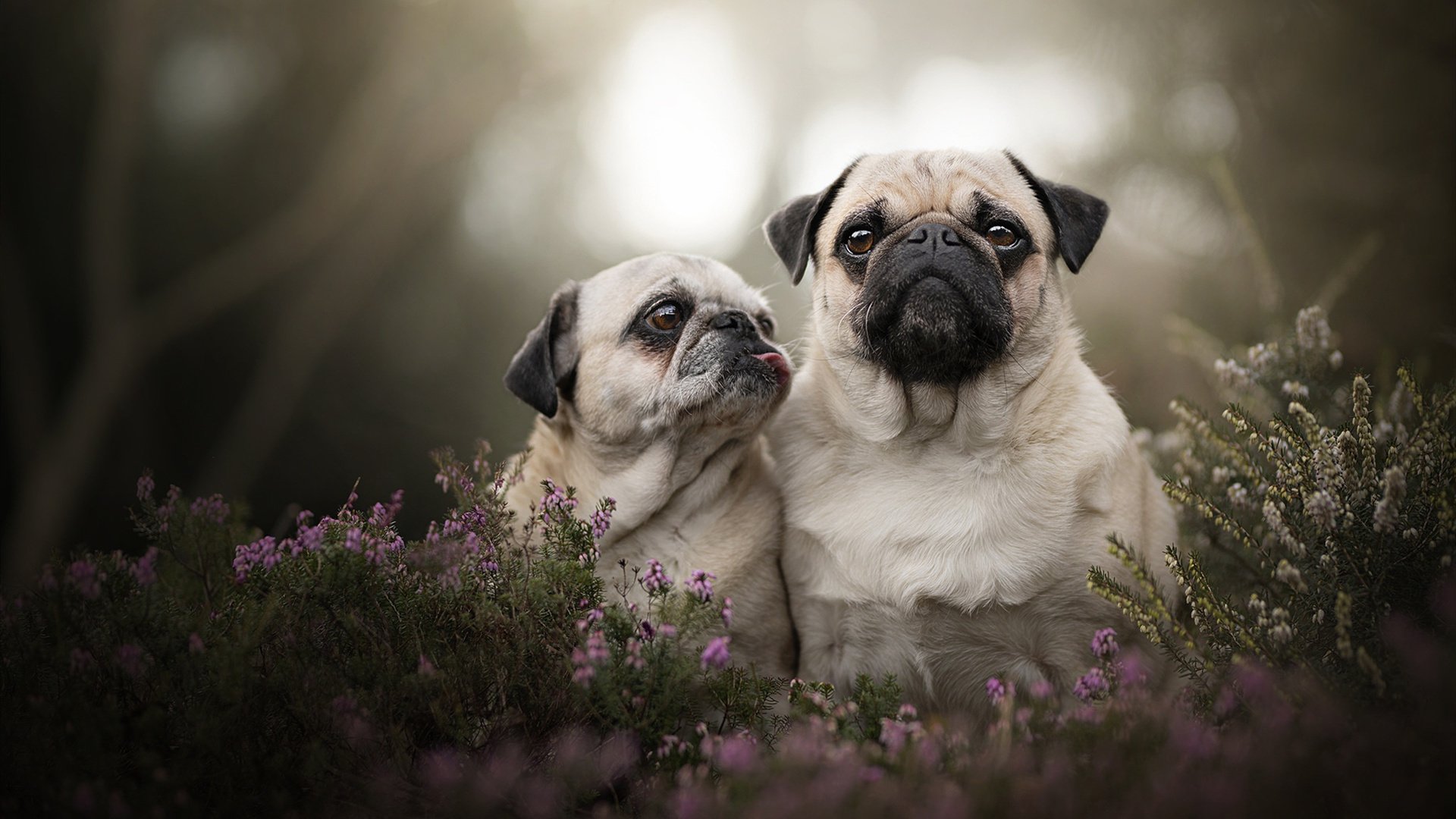 九游官网pc-特色足球文化文创产品受到年轻群体热烈追捧，市场潜力巨大，什么是足球文创作品